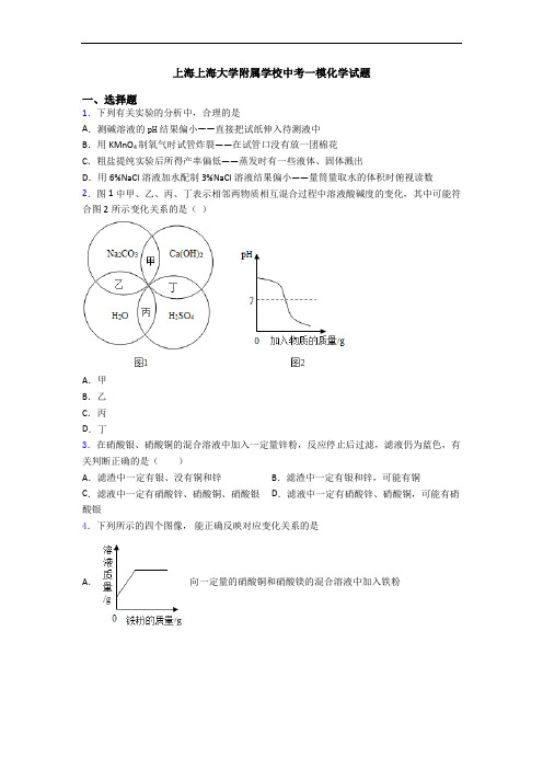 上海上海大学附属学校中考一模化学试题