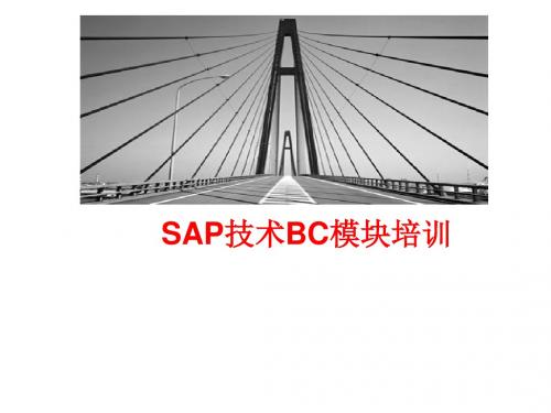 SAP技术培训资料资料