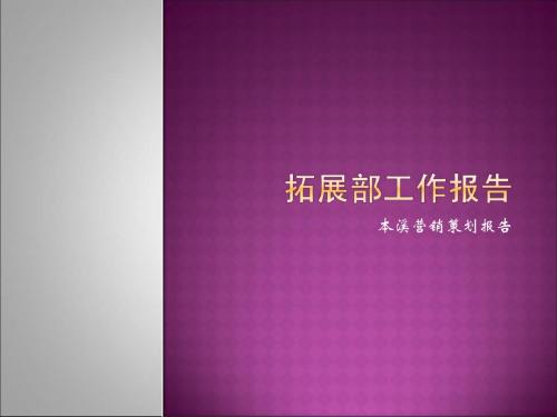 2019年本溪某商业项目营销策划报告-PPT精品文档