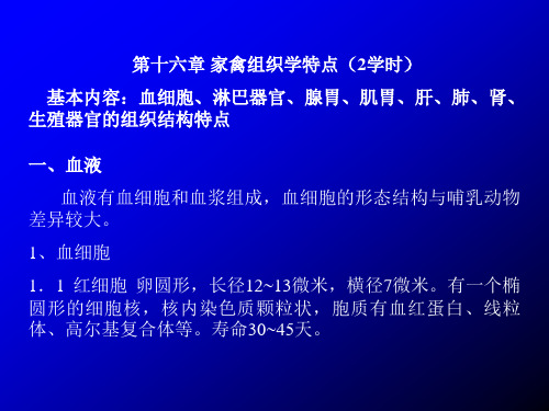 第十六章 家禽组织学特点