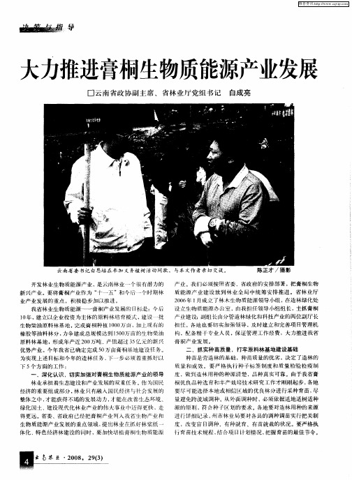 大力推进膏桐生物质能源产业发展