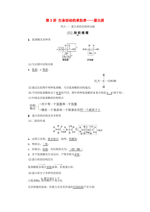 2018届高三生物一轮复习 第1单元 生命活动的承担者-蛋白质讲义 新人教版必修1