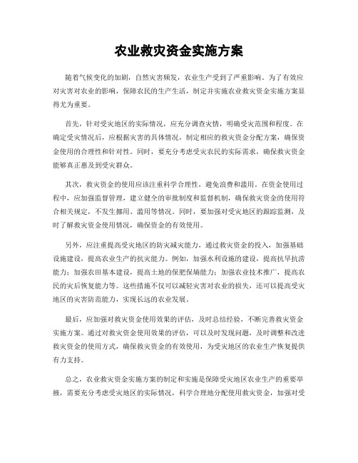 农业救灾资金实施方案