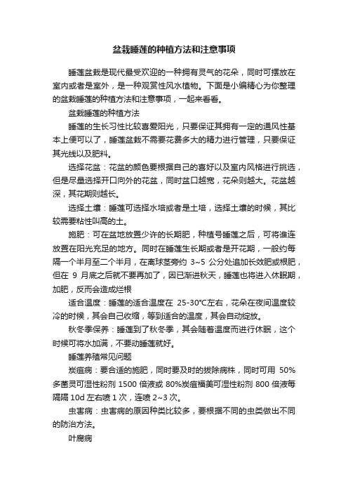 盆栽睡莲的种植方法和注意事项