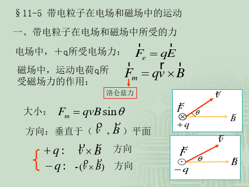 带电粒子在电场和磁场中所受的力解读