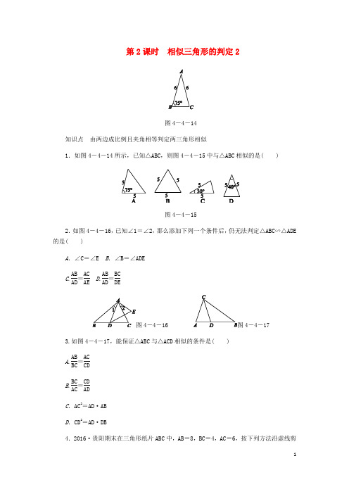 北师大版九年级数学上册第四章图形的相似