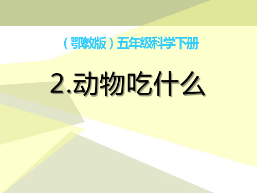 《动物吃什么》精品教学课件.