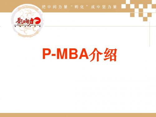 P-MBA介绍