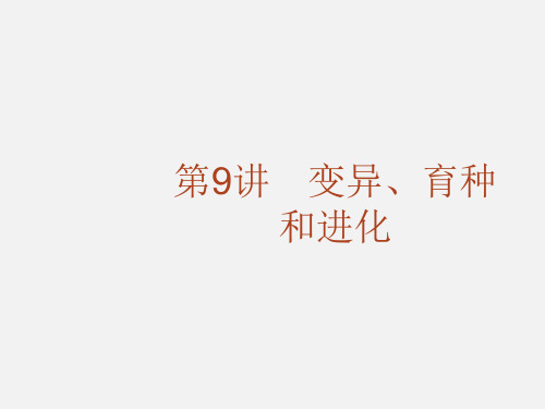 高考生物 二轮复习 变异、育种和进化