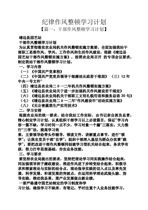 工作计划之纪律作风整顿学习计划