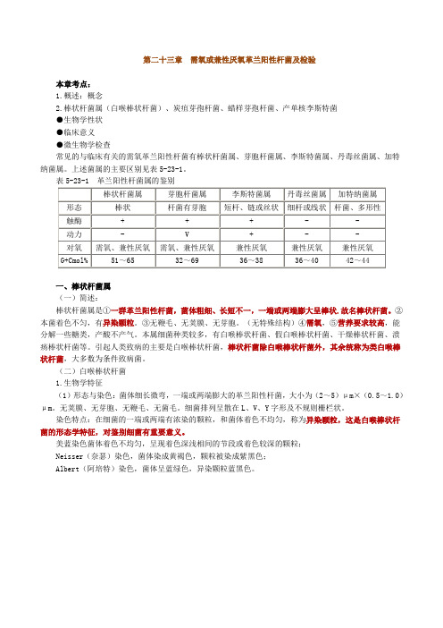 需氧或兼性厌氧革兰阳性杆菌及检验