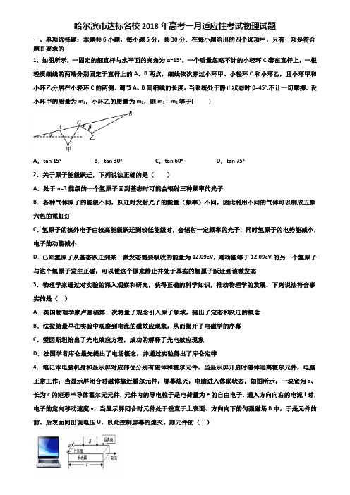 哈尔滨市达标名校2018年高考一月适应性考试物理试题含解析