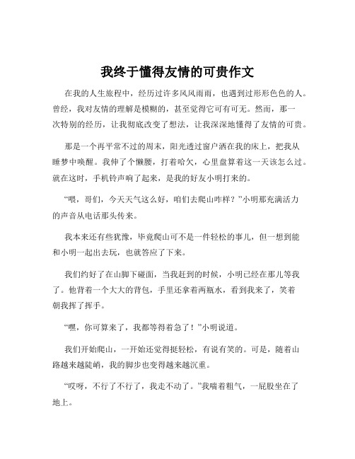 我终于懂得友情的可贵作文