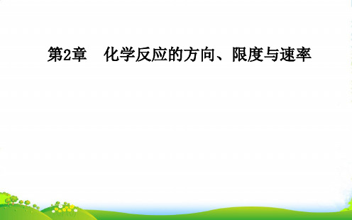 鲁科版高中化学选修四课件:第2章 第2节 第2课时 反应条件对化学平衡的影响