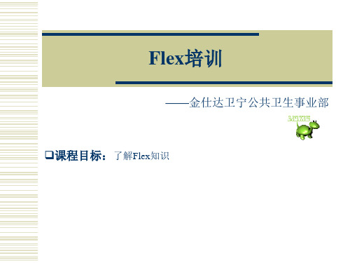 flex培训_内部