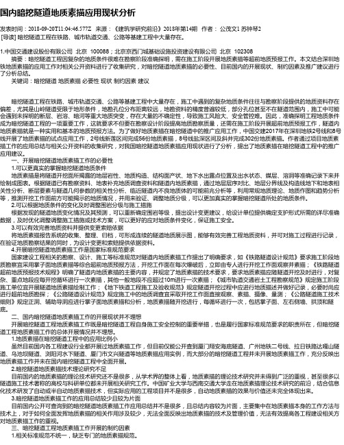 国内暗挖隧道地质素描应用现状分析