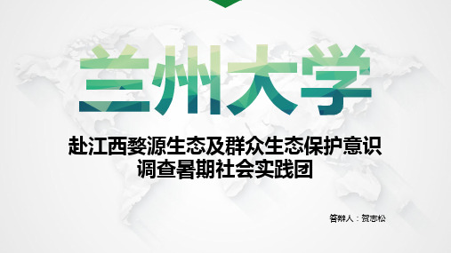 暑期社会实践答辩 PPT