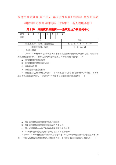 高考生物总复习 第二单元 第5讲细胞膜和细胞核 系统的边界和控制中心拔高课时精练(含解析) 新人教版必修1