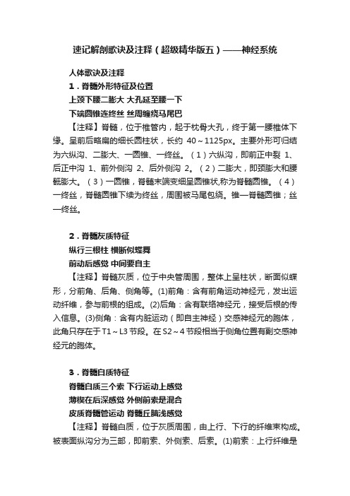 速记解剖歌诀及注释（超级精华版五）——神经系统