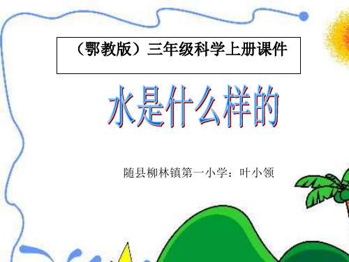 苏教版小学科学《水是什么样的》全文课件2