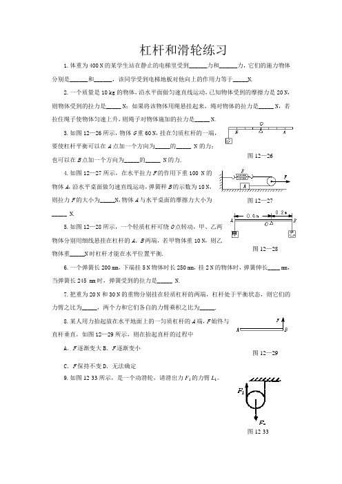 杠杆和滑轮练习