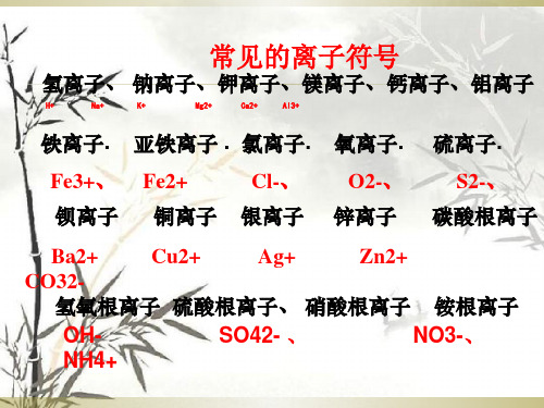 常见的离子符号,化学式