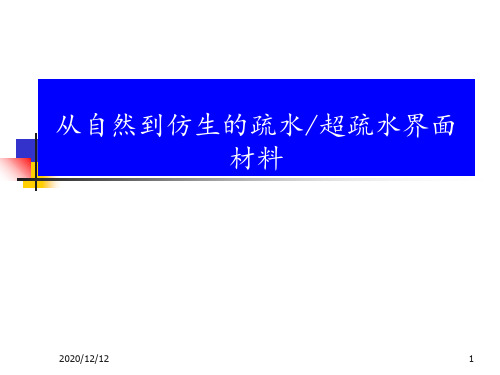 从自然到仿生的疏水超疏水界面材料 ppt课件