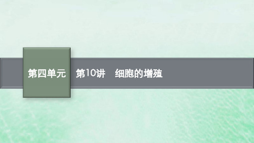 适用于老高考旧教材2024版高考生物一轮总复习第四单元细胞的生命历程第10讲细胞的增殖课件新人教版