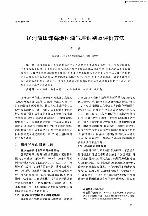 辽河油田滩海地区油气层识别及评价方法