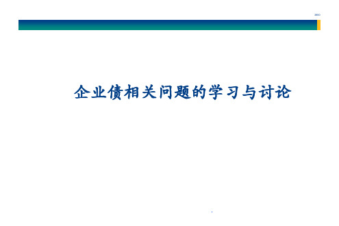 企业债建议书(经典)PPT资料20页