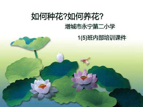 如何种花养花培训课件