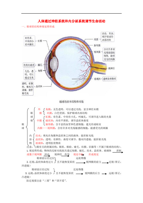 中考生物复习 人体通过神经系统和内分泌系统调节生命活动知识点总结 新人教版