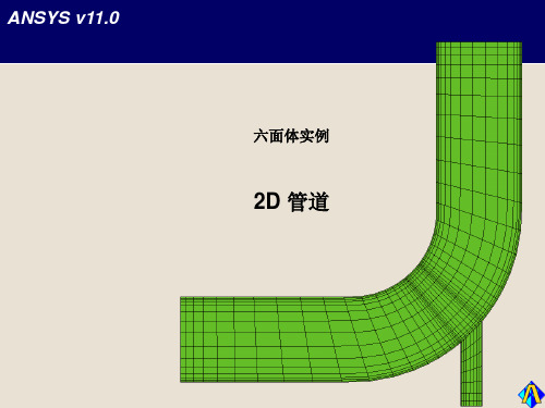 ICEM CFD 网格划分 E2-WS1-2D管道