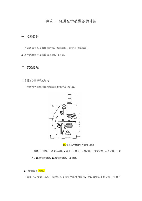 华理微生物实验