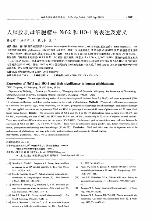 人脑胶质母细胞瘤中Nrf-2和HO-1的表达及意义