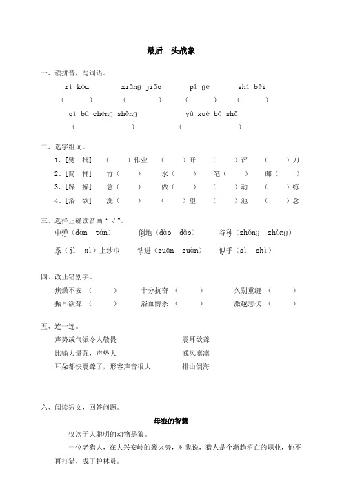 人教版六年级语文上册试卷23最后一头战象