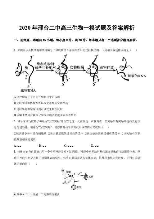 2020年邢台二中高三生物一模试题及答案解析