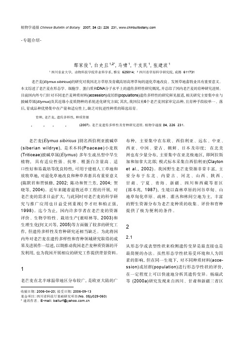 老芒麦遗传多样性及育种研究进展