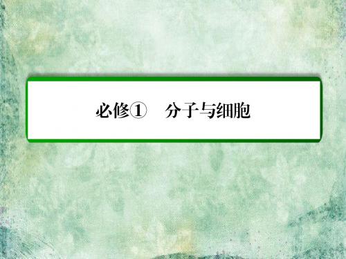 2018-2019届高考生物一轮复习课件：9降低化学反应活化能的酶 细胞的能量“通货”——ATP