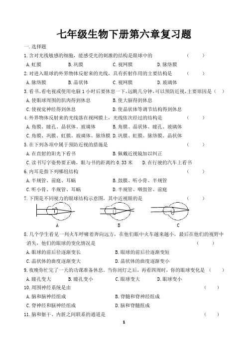 七年级生物下册第六章复习题