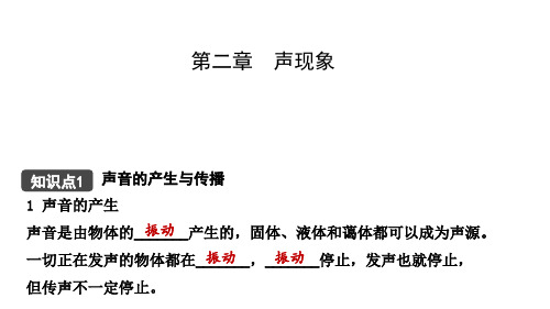 人教版物理中考第一轮复习课件  声现象