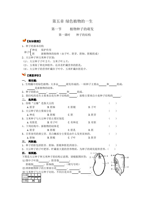 苏教版七年级生物第一学期全册同步测试练习试题及知识梳理第五章