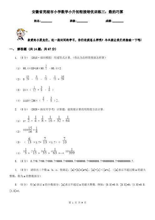 安徽省芜湖市小学数学小升初衔接培优训练三：数的巧算