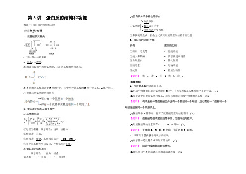 2022届高三生物苏教版一轮教师文档：必修1 第1单元 第3讲 蛋白质的结构和功能 Word版含解析