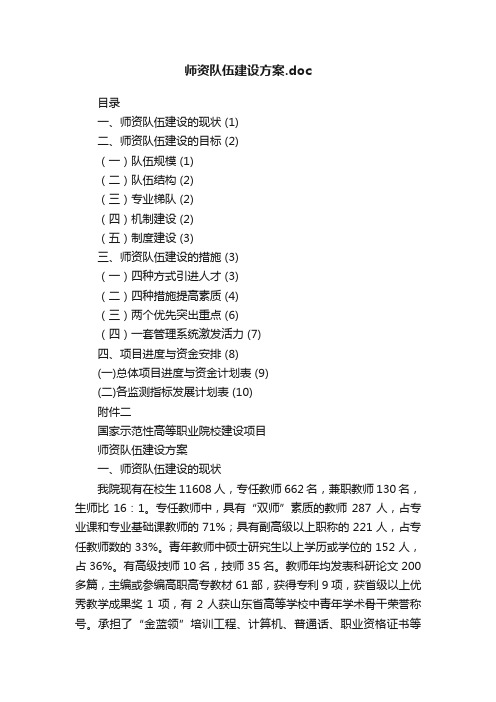 师资队伍建设方案.doc