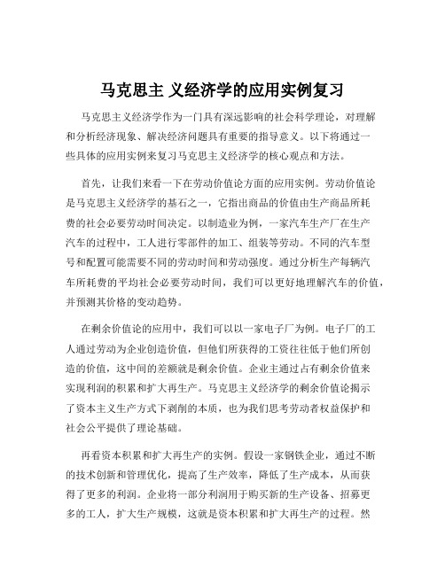 马克思主 义经济学的应用实例复习