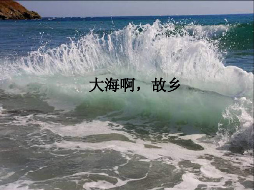 辽海版小学五年级音乐下册(简谱)大海啊,故乡_课件1