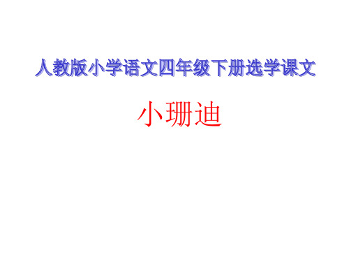 四年级下册语文优秀课件-选读课文《小珊迪》 人教新课标 (共20张PPT)