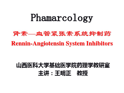 肾素—血管紧张素系统抑制药2010.11