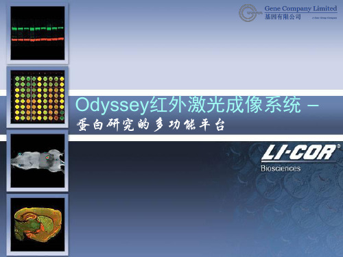 做Western blot仪器Odyssey